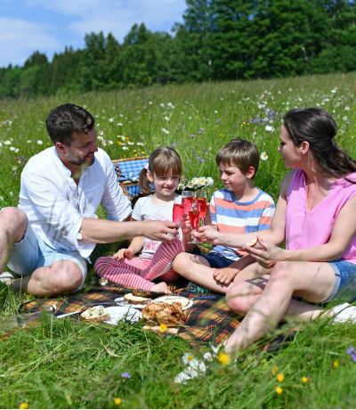 …picnic in the middle of mountain nature